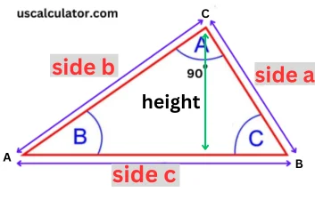 Perimeter of Triangle Calculator
